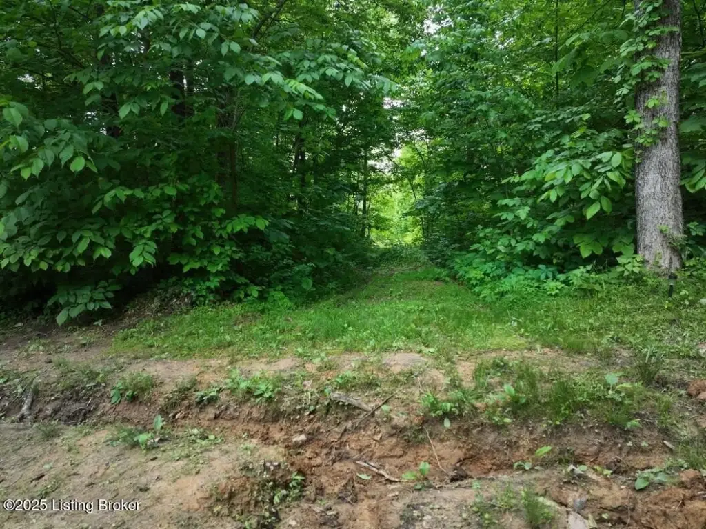 Picture 31