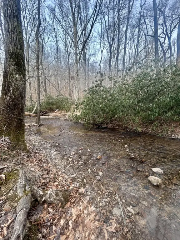 Picture 16