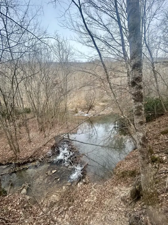 Picture 11
