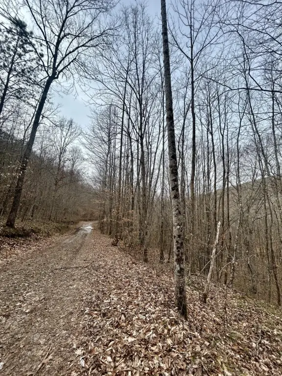 Picture 8