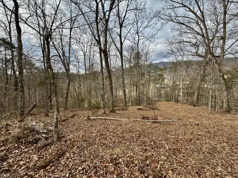 Versatile Land Opportunity in Chuckey