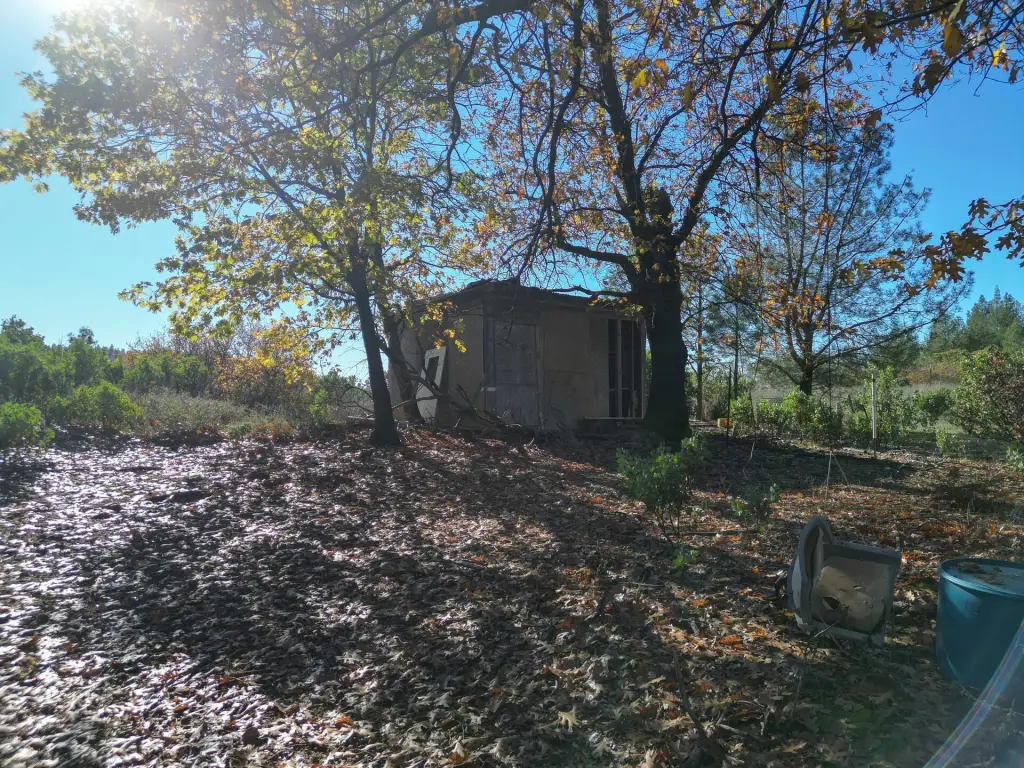 Picture 34