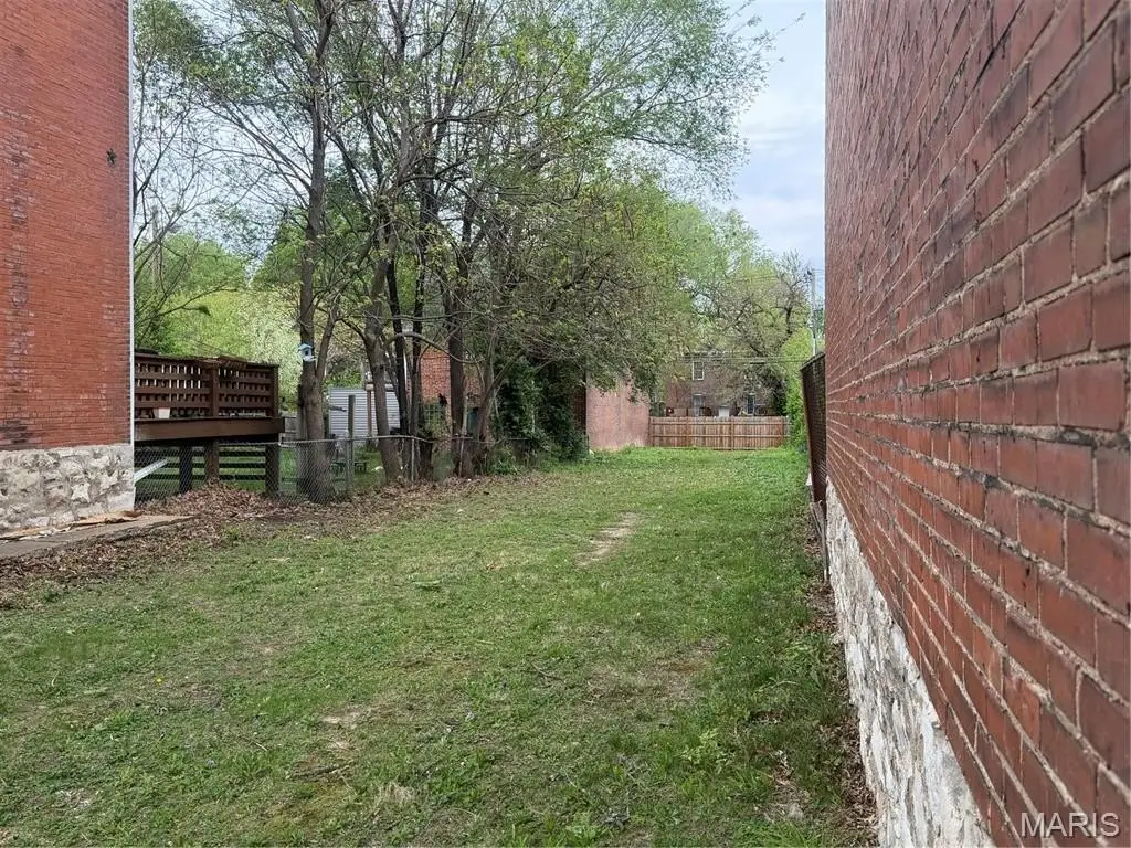 Picture 7
