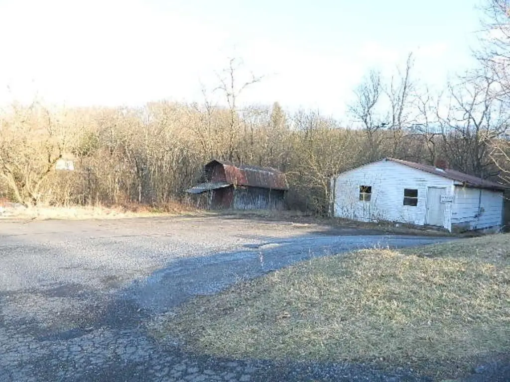 Picture 6