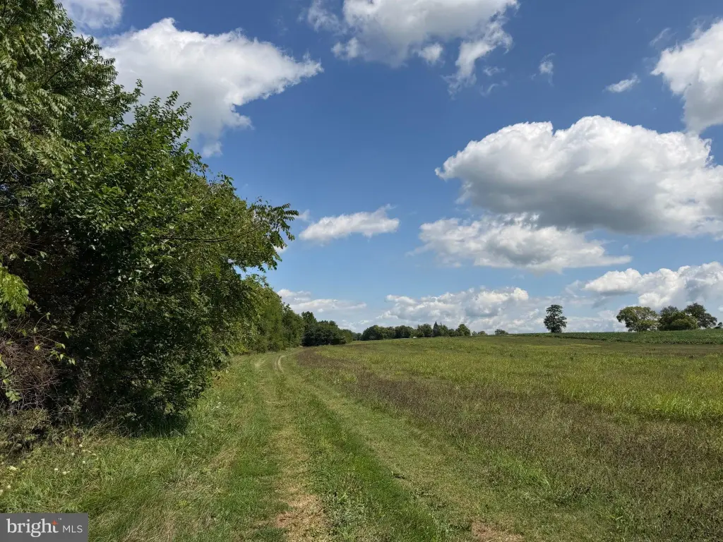 Picture 32