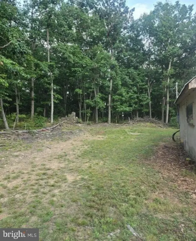 Picture 4