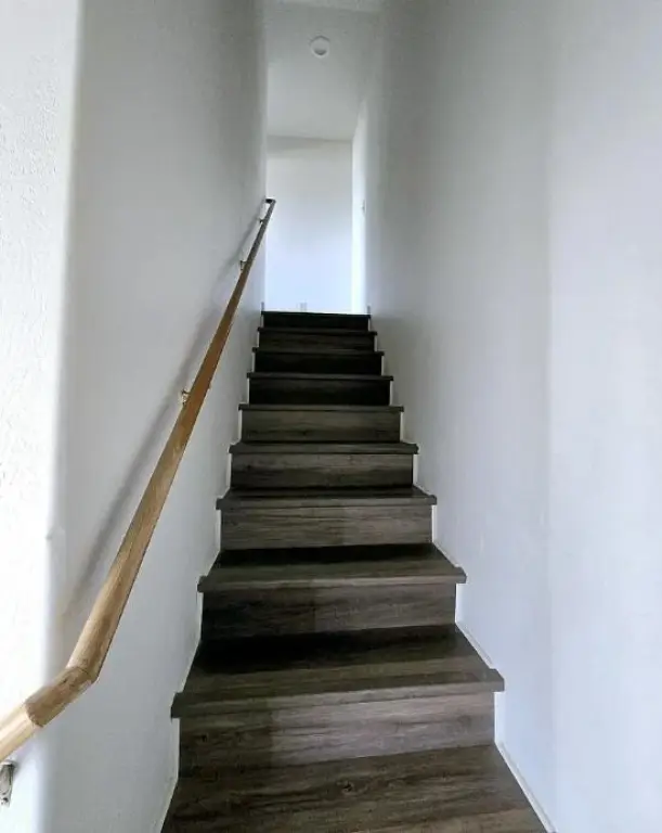 Picture 31