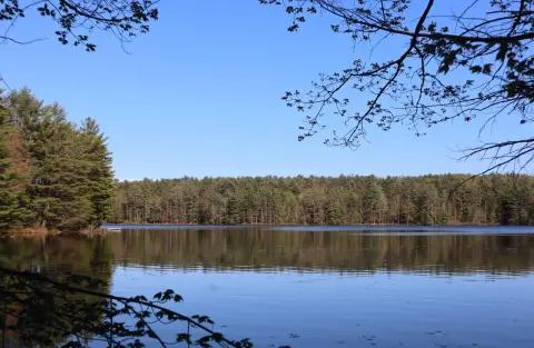 Lakefront Land in Northampton, NY
