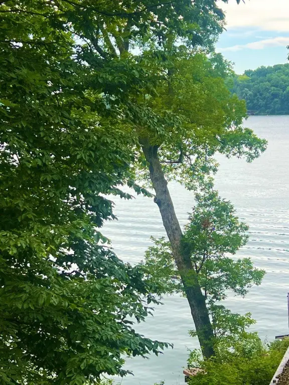 Picture 2