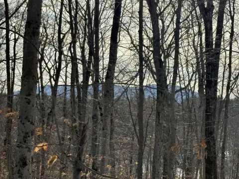 Buildable Lot Near Pleasant Mountain