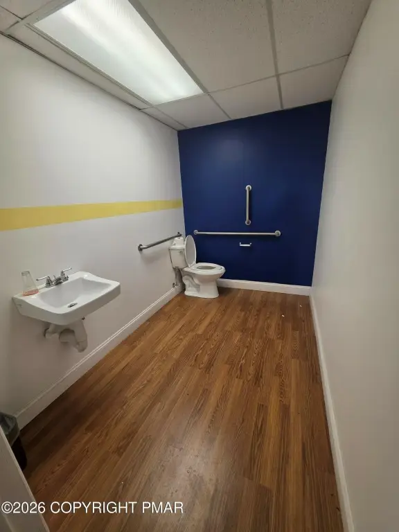 Picture 3