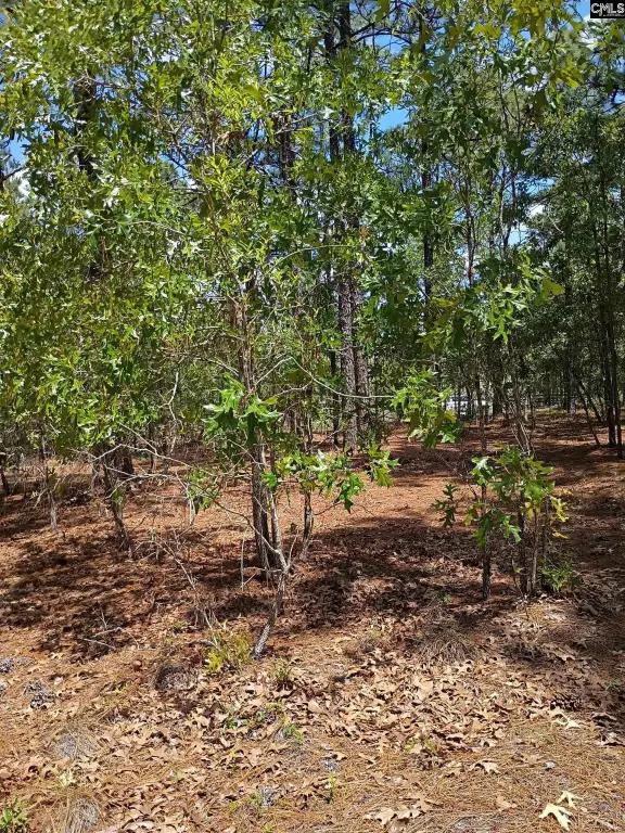 Picture 10