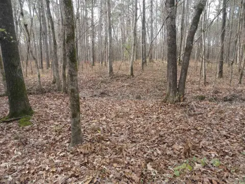 Residential Lot in Hensley, AR