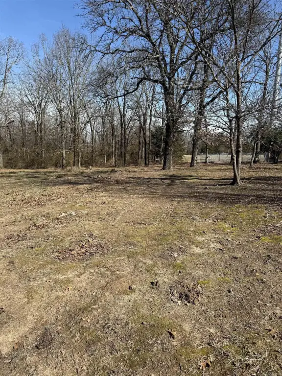 Picture 5