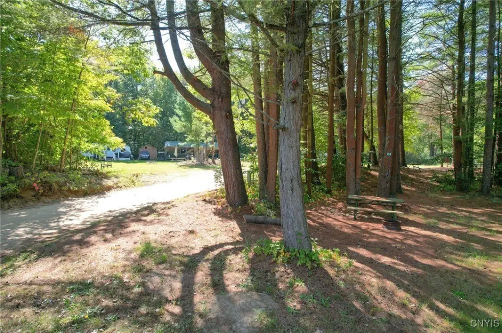 Picture 15