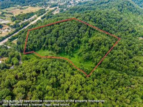 Rogersville Land with Wooded Acreage