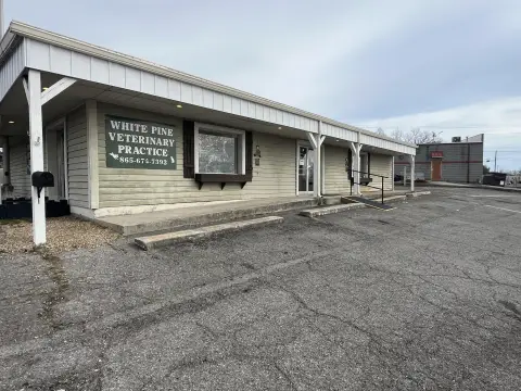 Commercial Building with Veterinary Lease