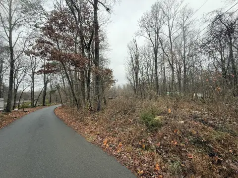 Residential Lot in Dandridge, TN