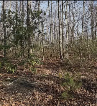 Sevierville Land Ready to Build