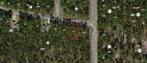 Dunnellon, FL Homesite Ready to Build