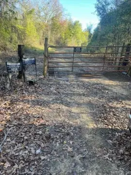 Wooded Hunting Land