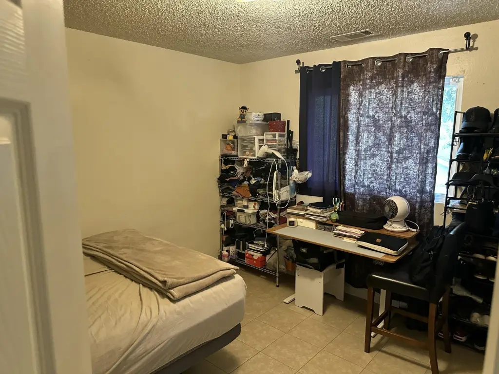 Picture 33