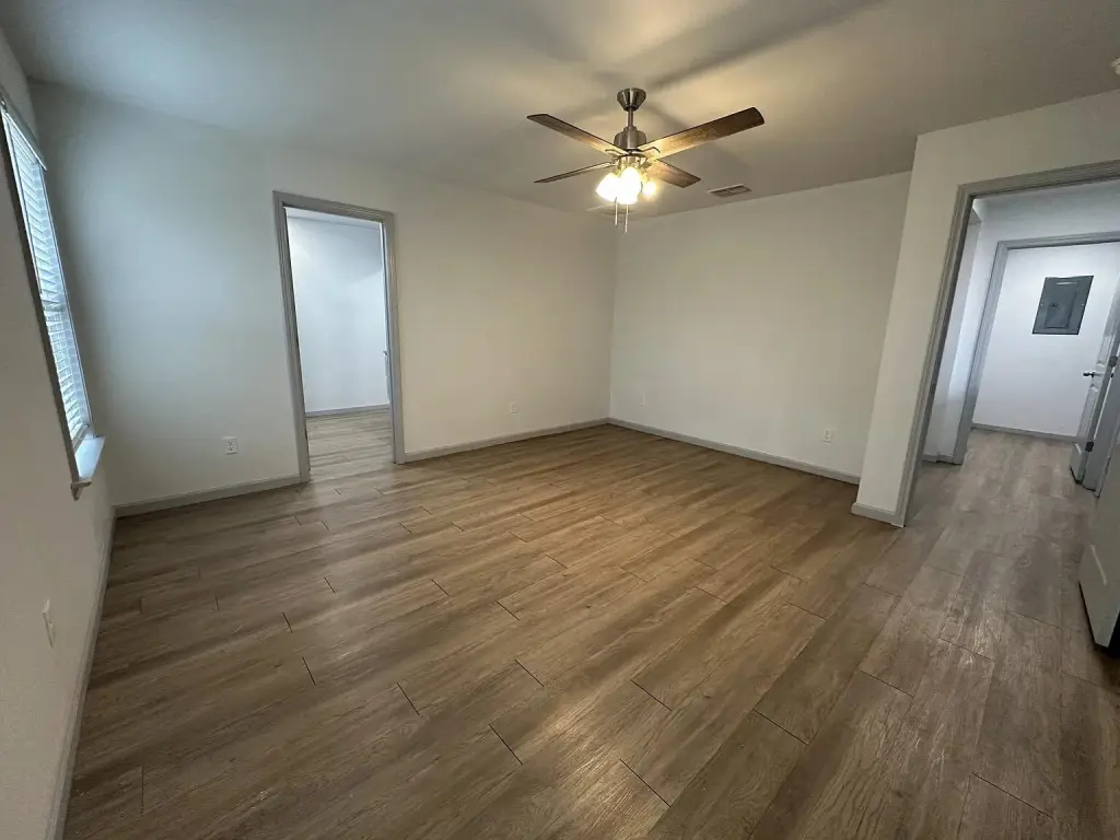 Picture 6