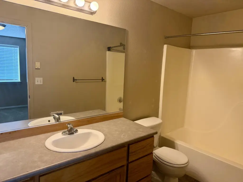 Picture 15