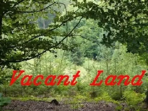 Palos Hills Vacant Commercial Land