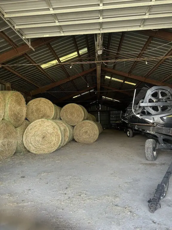 Picture 17