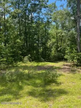 Wooded Lot in Leland, NC