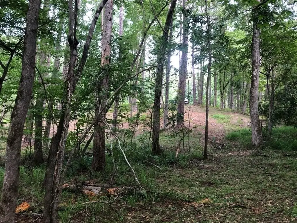 Picture 5