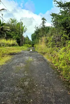 Agricultural Land in Mountain View