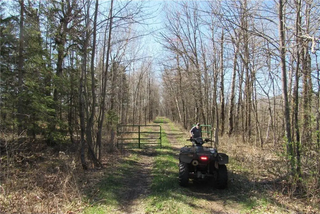 Picture 25