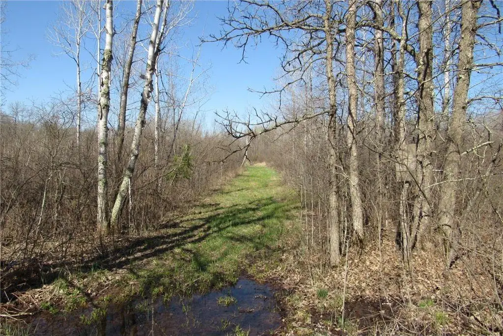 Picture 21
