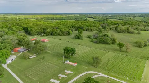 Turn-Key Vineyard and Gathering Spot