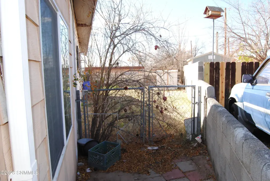 Picture 5