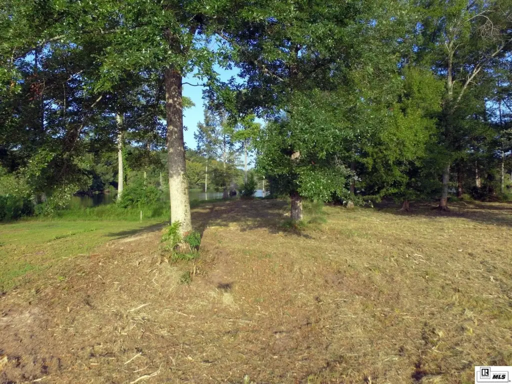 Picture 8
