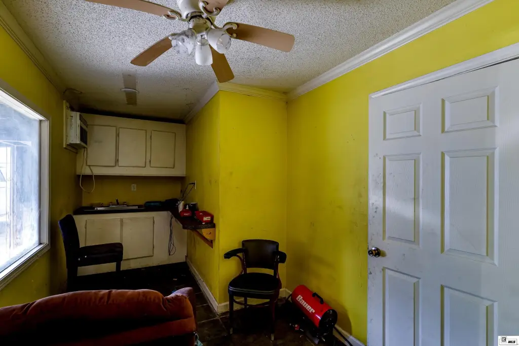 Picture 5