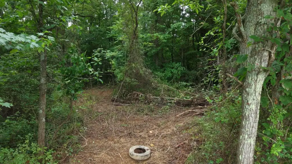 Picture 5