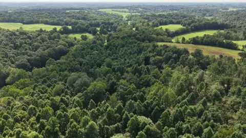 Timbered Hunting Land
