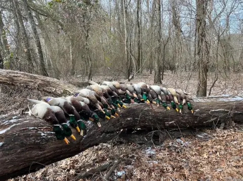 1623 Acres on White River