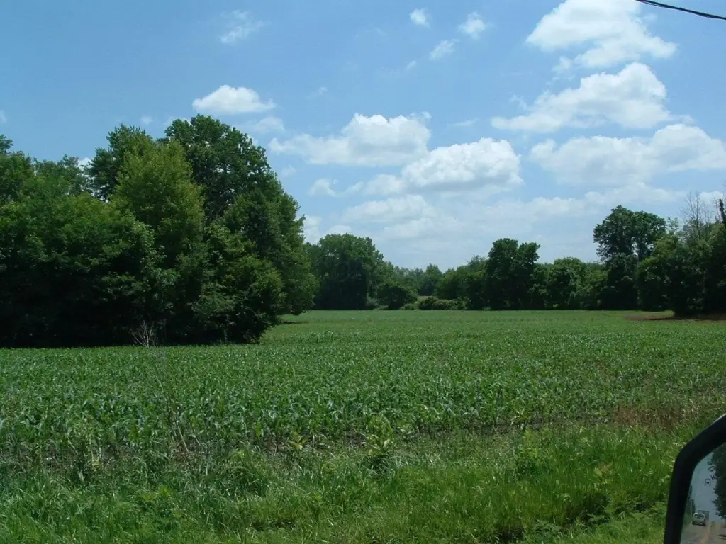 Picture 10