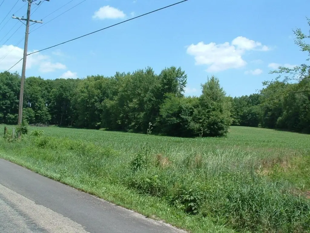 Picture 15