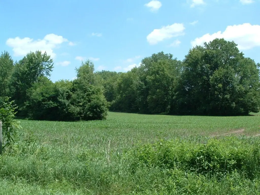Picture 14