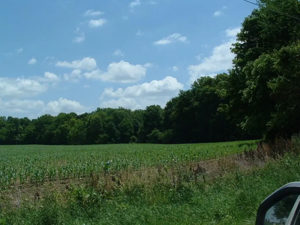 Picture 4