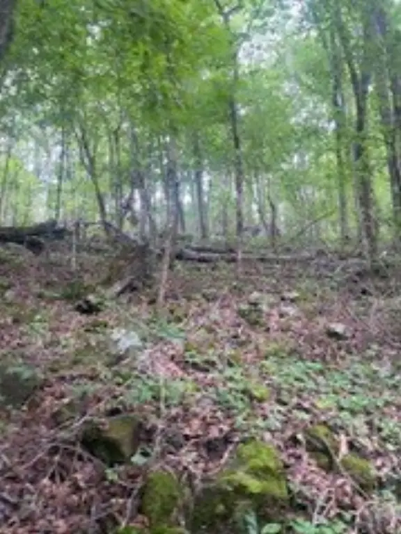 Picture 3