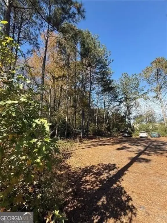 Picture 19
