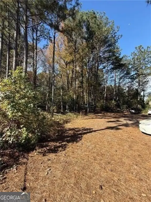 Picture 15