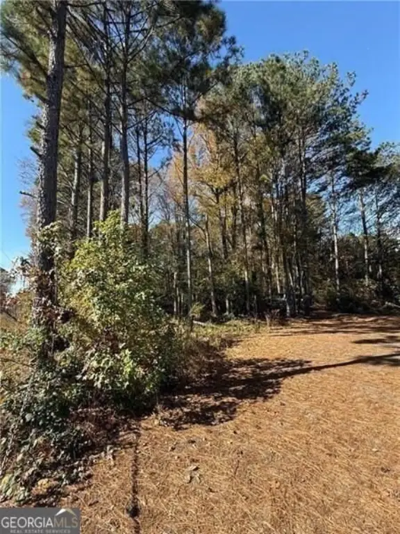 Picture 16